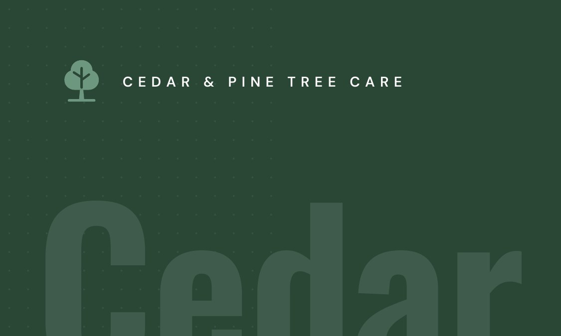 Cedar & Pine Tree Care, in its own green