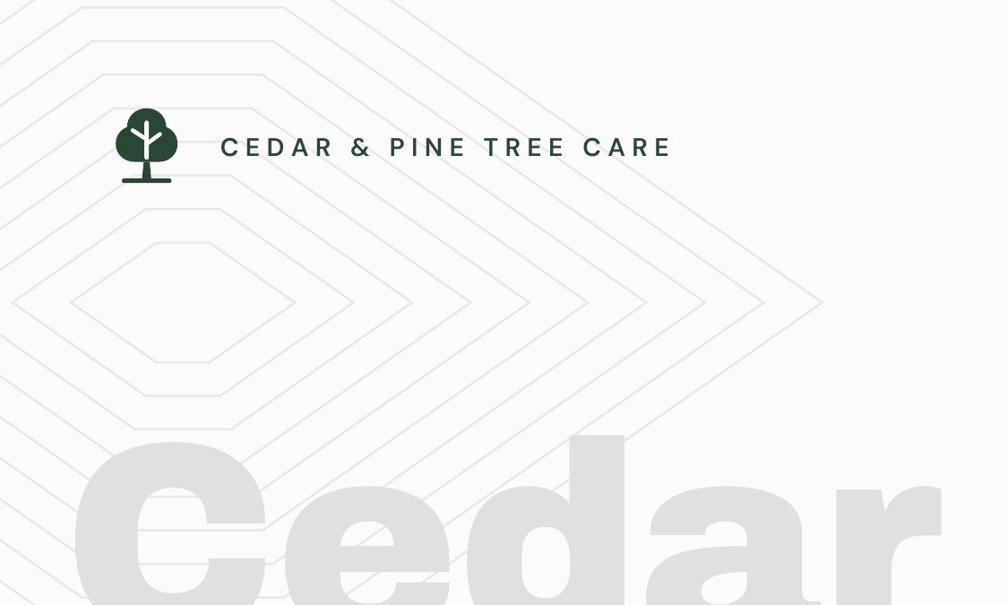 Cedar & Pine Tree Care, on paper
